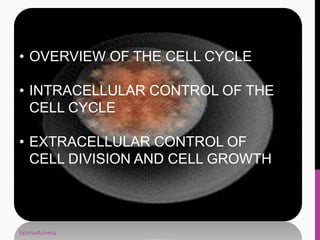 • OVERVIEW OF THE CELL CYCLE
• INTRACELLULAR CONTROL OF THE
CELL CYCLE
• EXTRACELLULAR CONTROL OF
CELL DIVISION AND CELL GROWTH
fatimaArivera
 