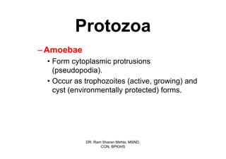 Protozoa
– Amoebae
 • Form cytoplasmic protrusions
   (pseudopodia).
 • Occur as trophozoites (active, growing) and
   cyst (environmentally protected) forms.




            DR. Ram Sharan Mehta, MSND,
                   CON, BPKIHS
 