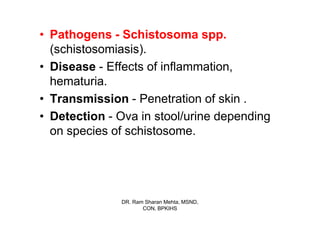 • Pathogens - Schistosoma spp.
  (schistosomiasis).
• Disease - Effects of inflammation,
  hematuria.
• Transmission - Penetration of skin .
• Detection - Ova in stool/urine depending
  on species of schistosome.




              DR. Ram Sharan Mehta, MSND,
                     CON, BPKIHS
 