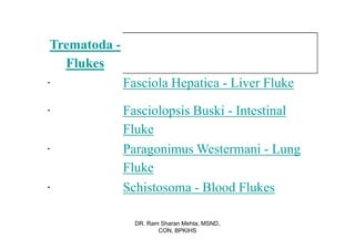 Trematoda -
   Flukes
·            Fasciola Hepatica - Liver Fluke

·            Fasciolopsis Buski - Intestinal
             Fluke
·            Paragonimus Westermani - Lung
             Fluke
·            Schistosoma - Blood Flukes

               DR. Ram Sharan Mehta, MSND,
                      CON, BPKIHS
 