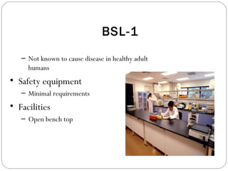 BSL-1
– Not known to cause disease in healthy adult
humans
• Safety equipment
– Minimal requirements
• Facilities
– Open bench top
 