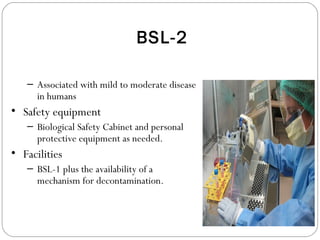 BSL-2
– Associated with mild to moderate disease
in humans
• Safety equipment
– Biological Safety Cabinet and personal
protective equipment as needed.
• Facilities
– BSL-1 plus the availability of a
mechanism for decontamination.
 