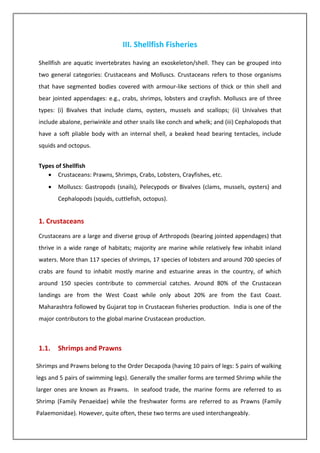 III. Shellfish Fisheries
Shellfish are aquatic invertebrates having an exoskeleton/shell. They can be grouped into
two general categories: Crustaceans and Molluscs. Crustaceans refers to those organisms
that have segmented bodies covered with armour-like sections of thick or thin shell and
bear jointed appendages: e.g., crabs, shrimps, lobsters and crayfish. Molluscs are of three
types: (i) Bivalves that include clams, oysters, mussels and scallops; (ii) Univalves that
include abalone, periwinkle and other snails like conch and whelk; and (iii) Cephalopods that
have a soft pliable body with an internal shell, a beaked head bearing tentacles, include
squids and octopus.
Types of Shellfish
• Crustaceans: Prawns, Shrimps, Crabs, Lobsters, Crayfishes, etc.
• Molluscs: Gastropods (snails), Pelecypods or Bivalves (clams, mussels, oysters) and
Cephalopods (squids, cuttlefish, octopus).
1. Crustaceans
Crustaceans are a large and diverse group of Arthropods (bearing jointed appendages) that
thrive in a wide range of habitats; majority are marine while relatively few inhabit inland
waters. More than 117 species of shrimps, 17 species of lobsters and around 700 species of
crabs are found to inhabit mostly marine and estuarine areas in the country, of which
around 150 species contribute to commercial catches. Around 80% of the Crustacean
landings are from the West Coast while only about 20% are from the East Coast.
Maharashtra followed by Gujarat top in Crustacean fisheries production. India is one of the
major contributors to the global marine Crustacean production.
1.1. Shrimps and Prawns
Shrimps and Prawns belong to the Order Decapoda (having 10 pairs of legs: 5 pairs of walking
legs and 5 pairs of swimming legs). Generally the smaller forms are termed Shrimp while the
larger ones are known as Prawns. In seafood trade, the marine forms are referred to as
Shrimp (Family Penaeidae) while the freshwater forms are referred to as Prawns (Family
Palaemonidae). However, quite often, these two terms are used interchangeably.
 