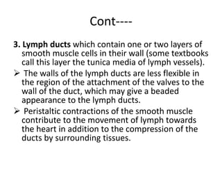 Cont----
3. Lymph ducts which contain one or two layers of
smooth muscle cells in their wall (some textbooks
call this layer the tunica media of lymph vessels).
 The walls of the lymph ducts are less flexible in
the region of the attachment of the valves to the
wall of the duct, which may give a beaded
appearance to the lymph ducts.
 Peristaltic contractions of the smooth muscle
contribute to the movement of lymph towards
the heart in addition to the compression of the
ducts by surrounding tissues.
 