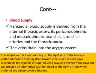 Cont---
• Blood supply
 Pericardial blood supply is derived from the
internal thoracic artery, its pericardiophrenic
and musculophrenic branches, bronchial
arteries and the thoracic aorta.
 The veins drain into the azygos system.
The azygos vein is a vein running up the right side of the thoracic
vertebral column draining itself towards the superior vena cava.
It connects the systems of superior vena cava and inferior vena cava and
can provide an alternative path for blood to the right atrium when
either of the venae cavae is blocked
 