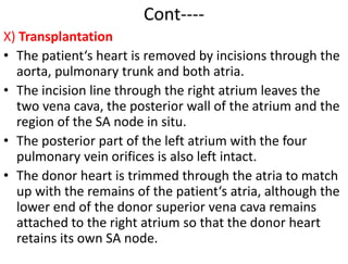 Cont----
X) Transplantation
• The patient‘s heart is removed by incisions through the
aorta, pulmonary trunk and both atria.
• The incision line through the right atrium leaves the
two vena cava, the posterior wall of the atrium and the
region of the SA node in situ.
• The posterior part of the left atrium with the four
pulmonary vein orifices is also left intact.
• The donor heart is trimmed through the atria to match
up with the remains of the patient‘s atria, although the
lower end of the donor superior vena cava remains
attached to the right atrium so that the donor heart
retains its own SA node.
 