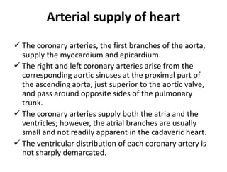 Arterial supply of heart
 The coronary arteries, the first branches of the aorta,
supply the myocardium and epicardium.
 The right and left coronary arteries arise from the
corresponding aortic sinuses at the proximal part of
the ascending aorta, just superior to the aortic valve,
and pass around opposite sides of the pulmonary
trunk.
 The coronary arteries supply both the atria and the
ventricles; however, the atrial branches are usually
small and not readily apparent in the cadaveric heart.
 The ventricular distribution of each coronary artery is
not sharply demarcated.
 