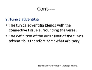 Cont----
3. Tunica adventitia
• The tunica adventitia blends with the
connective tissue surrounding the vessel.
• The definition of the outer limit of the tunica
adventitia is therefore somewhat arbitrary.
Blends: An occurrence of thorough mixing
 