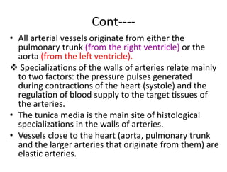 Cont----
• All arterial vessels originate from either the
pulmonary trunk (from the right ventricle) or the
aorta (from the left ventricle).
 Specializations of the walls of arteries relate mainly
to two factors: the pressure pulses generated
during contractions of the heart (systole) and the
regulation of blood supply to the target tissues of
the arteries.
• The tunica media is the main site of histological
specializations in the walls of arteries.
• Vessels close to the heart (aorta, pulmonary trunk
and the larger arteries that originate from them) are
elastic arteries.
 