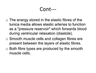 Cont---
o The energy stored in the elastic fibres of the
tunica media allows elastic arteries to function
as a "pressure reservoir" which forwards blood
during ventricular relaxation (diastole).
o Smooth muscle cells and collagen fibres are
present between the layers of elastic fibres.
o Both fibre types are produced by the smooth
muscle cells.
 