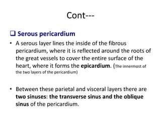 Cont---
 Serous pericardium
• A serous layer lines the inside of the fibrous
pericardium, where it is reflected around the roots of
the great vessels to cover the entire surface of the
heart, where it forms the epicardium. (The innermost of
the two layers of the pericardium)
• Between these parietal and visceral layers there are
two sinuses: the transverse sinus and the oblique
sinus of the pericardium.
 