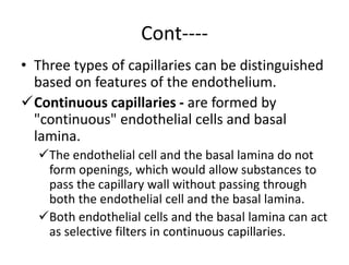 Cont----
• Three types of capillaries can be distinguished
based on features of the endothelium.
Continuous capillaries - are formed by
"continuous" endothelial cells and basal
lamina.
The endothelial cell and the basal lamina do not
form openings, which would allow substances to
pass the capillary wall without passing through
both the endothelial cell and the basal lamina.
Both endothelial cells and the basal lamina can act
as selective filters in continuous capillaries.
 