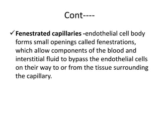 Cont----
Fenestrated capillaries -endothelial cell body
forms small openings called fenestrations,
which allow components of the blood and
interstitial fluid to bypass the endothelial cells
on their way to or from the tissue surrounding
the capillary.
 