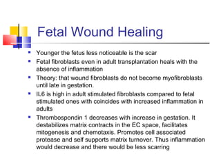 Fetal Wound Healing
 Younger the fetus less noticeable is the scar
 Fetal fibroblasts even in adult transplantation heals with the
absence of inflammation
 Theory: that wound fibroblasts do not become myofibroblasts
until late in gestation.
 IL6 is high in adult stimulated fibroblasts compared to fetal
stimulated ones with coincides with increased inflammation in
adults
 Thrombospondin 1 decreases with increase in gestation. It
destabilizes matrix contracts in the EC space, facilitates
mitogenesis and chemotaxis. Promotes cell associated
protease and self supports matrix turnover. Thus inflammation
would decrease and there would be less scarring
 