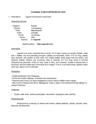 10 HERBAL PLANTS APPROVED BY DOH
1. Plant Name: Lagundi (Five-leaved chaste tree)
Taxonomic Account
Kingdom: Plantae
Division: Tracheophyta
Class: Magnoliopsida
Order: Lamiales
Family: Lamiaceae
Genus: Vitex
Species: V. negundo
Specific epithet: Vitex negundo Linn.
Description:
Lagundi is an erect, branched tree or shrub, 2-5 m high. Leaves are usually 5-foliate, rarely
with 3 leaflets only and palmately arranged. Leaflets are lanceolate, entire, 4-10 cm long, slightly
hairy beneath, and pointed at both ends, the middle leaflets being larger than the others, and
distinctly stalked. Flowers are numerous, blue to lavender, 6-7 mm long, borne in terminal
inflorescences (panicles) 10-20 cm long. Calyx is hairy, and 5-toothed. Corolla is densely hairy in
the throat, and the middle lobe of the lower lip is longest. Fruit is a succulent drupe, globose, black
when ripe, about 4 mm in diameter.
Distribution
- Widely distributed in the Philippines.
- At low and medium altitudes, in thickets and waste places.
- Flowering year round. It is best propagated by use of mature, leafless stem cuttings.
- Also occurs in tropical East Africa, Madagascar, India to Japan, and southward through Malaya to
western Polynesia.
Treatment
- Cough, colds, fever, asthma, pharyngitis, rheumatism, dyspepsia, boils, diarrhea
Phytochemicals
Phytochemical screening of ethanol leaf extract yielded alkaloids, iridoids, phenolic acids,
flavonols and flavonoids.
 