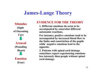 James-Lange Theory Stimulus (Sight  of Oncoming Car) Arousal (Pounding Heart) Emotion (Fear) EVIDENCE FOR THE THEORY   1. Different emotions do seem to be accompanied by somewhat different autonomic reactions. For instance, positive emotions tend to be accompanied by increased blood flow to the limbs and constriction of the pupils while  negative emotions lead to the opposite.  2. Patients with spinal cord damage sometimes report experiencing emotions  less intensely than people without spinal cord damage. 