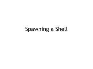 Spawning a Shell
 