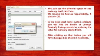 • You can see the different option to add
texts e.g. text1, text2 etc.
• We rename the field as responsibility. &
click on OK.
• In the next label name custom attribute
you will find the button of Lookup.
Basically lookup stands for entering the
value for manually created field.
• After clicking on that button you will
have dialogue box shown in next slide.
 