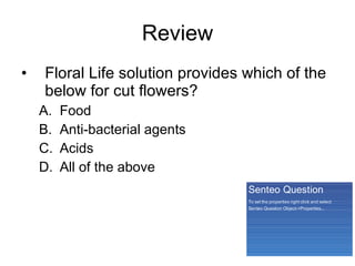 Review Floral Life solution provides which of the below for cut flowers? Food Anti-bacterial agents Acids All of the above 