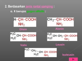 2. Berdasarkan jenis rantai samping :
    a. R berupa gugus alifatik :




           Glisin                       Alanin




           Valin                        Leusin


                                            Isoleusin
 