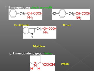 f. R mengandung cincin aromatik:




     Fenilalanin                    Tirosin




                   Triptofan

  g. R mengandung gugus imino:


                                   Prolin
 