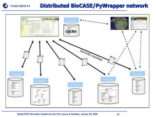 Distributed BioCASE/PyWrapper network 