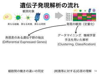 遺伝子発現解析の流れ
発現の観測（定量化）異なる組織，異なる刺激，異なる時間
発現差のある遺伝子群の抽出
(Diﬀerential Expressed Genes)
データマイニング，機械学習
手法を用いた解析
(Clustering, Classiﬁcation)
Gene 1
Gene 2
Gene 3
Gene 4
Gene 5
細胞間の働きの違いの同定 (刺激等に対する)応答の理解
観測対象
14
 