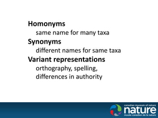 Homonyms
same name for many taxa
Synonyms
different names for same taxa
Variant representations
orthography, spelling,
differences in authority
 