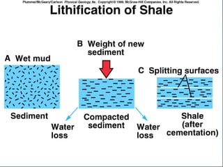 23.3.d sedimentary rocks ppt.ppt