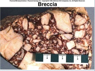 23.3.d sedimentary rocks ppt.ppt