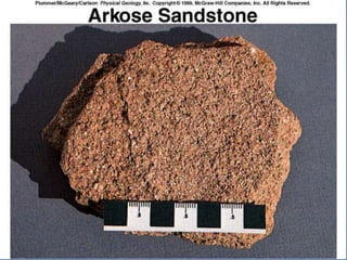 23.3.d sedimentary rocks ppt.ppt