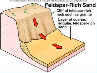 23.3.d sedimentary rocks ppt.ppt