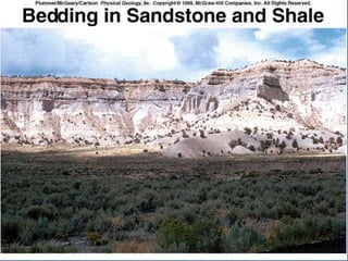 23.3.d sedimentary rocks ppt.ppt