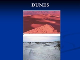 DUNES
 