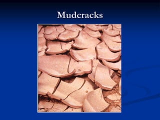 Mudcracks
 