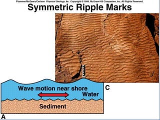 23.3.d sedimentary rocks ppt.ppt