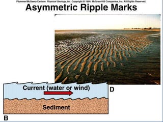 23.3.d sedimentary rocks ppt.ppt