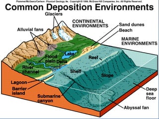 23.3.d sedimentary rocks ppt.ppt