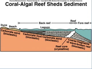 23.3.d sedimentary rocks ppt.ppt