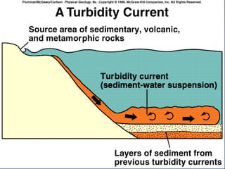 23.3.d sedimentary rocks ppt.ppt