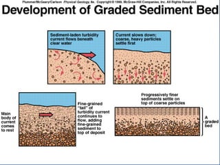 23.3.d sedimentary rocks ppt.ppt