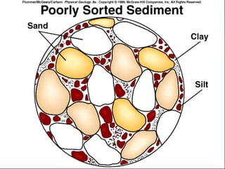 23.3.d sedimentary rocks ppt.ppt