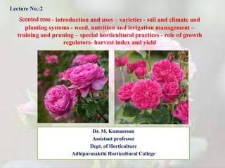 Dr. M. Kumaresan
Assistant professor
Dept. of Horticulture
Adhiparasakthi Horticultural College
Scented rose - introduction and uses – varieties - soil and climate and
planting systems - weed, nutrition and irrigation management –
training and pruning – special horticultural practices - role of growth
regulators- harvest index and yield
Lecture No.:2
 