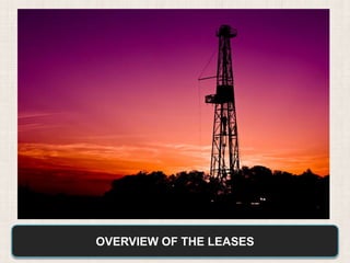 OVERVIEW OF THE LEASES
 