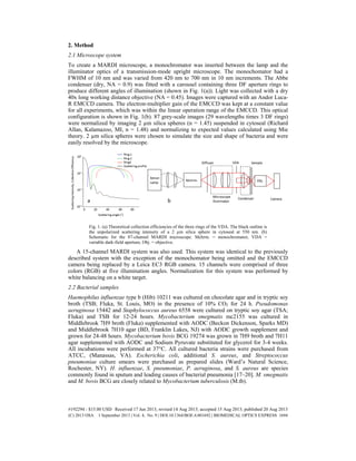 2. Method
2.1 Microscope system
To create a MARDI microscope, a monochromator was inserted between the lamp and the
illuminator optics of a transmission-mode upright microscope. The monochomator had a
FWHM of 10 nm and was varied from 420 nm to 700 nm in 10 nm increments. The Abbe
condenser (dry, NA = 0.9) was fitted with a carousel containing three DF aperture rings to
produce different angles of illumination (shown in Fig. 1(a)). Light was collected with a dry
40x long working distance objective (NA = 0.45). Images were captured with an Andor Luca-
R EMCCD camera. The electron-multiplier gain of the EMCCD was kept at a constant value
for all experiments, which was within the linear operation range of the EMCCD. This optical
configuration is shown in Fig. 1(b). 87 grey-scale images (29 wavelengths times 3 DF rings)
were normalized by imaging 2 µm silica spheres (n = 1.45) suspended in cytoseal (Richard
Allan, Kalamazoo, MI, n = 1.48) and normalizing to expected values calculated using Mie
theory. 2 µm silica spheres were chosen to simulate the size and shape of bacteria and were
easily resolved by the microscope.
Fig. 1. (a) Theoretical collection efficiencies of the three rings of the VDA. The black outline is
the unpolarized scattering intensity of a 2 µm silica sphere in cytoseal at 550 nm. (b)
Schematic for the 87-channel MARDI microscope. Mchrm. = monochromator, VDA =
variable dark-field aperture, Obj. = objective.
A 15-channel MARDI system was also used. This system was identical to the previously
described system with the exception of the monochomator being omitted and the EMCCD
camera being replaced by a Leica EC3 RGB camera. 15 channels were comprised of three
colors (RGB) at five illumination angles. Normalization for this system was performed by
white balancing on a white target.
2.2 Bacterial samples
Haemophilus influenzae type b (Hib) 10211 was cultured on chocolate agar and in tryptic soy
broth (TSB; Fluka, St. Louis, MO) in the presence of 10% CO2 for 24 h. Pseudomonas
aeruginosa 15442 and Staphylococcus aureus 6558 were cultured on tryptic soy agar (TSA;
Fluka) and TSB for 12-24 hours. Mycobacterium smegmatis mc2155 was cultured in
Middlebrook 7H9 broth (Fluka) supplemented with AODC (Beckon Dickenson, Sparks MD)
and Middlebrook 7H10 agar (BD, Franklin Lakes, NJ) with AODC growth supplement and
grown for 24-48 hours. Mycobacterium bovis BCG 19274 was grown in 7H9 broth and 7H11
agar supplemented with AODC and Sodium Pyruvate substituted for glycerol for 3-4 weeks.
All incubations were performed at 37°C. All cultured bacteria strains were purchased from
ATCC, (Manassas, VA). Escherichia coli, additional S. aureus, and Streptococcus
pneumoniae culture smears were purchased as prepared slides (Ward’s Natural Science,
Rochester, NY). H. influenzae, S. pneumoniae, P. aeruginosa, and S. aureus are species
commonly found in sputum and leading causes of bacterial pneumonia [17–20]. M. smegmatis
and M. bovis BCG are closely related to Mycobacterium tuberculosis (M.tb).
#192294 - $15.00 USD Received 17 Jun 2013; revised 14 Aug 2013; accepted 15 Aug 2013; published 20 Aug 2013
(C) 2013 OSA 1 September 2013 | Vol. 4, No. 9 | DOI:10.1364/BOE.4.001692 | BIOMEDICAL OPTICS EXPRESS 1694
 