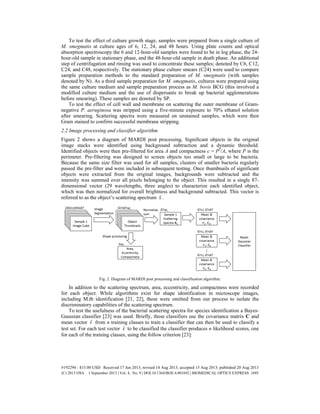 To test the effect of culture growth stage, samples were prepared from a single culture of
M. smegmatis at culture ages of 6, 12, 24, and 48 hours. Using plate counts and optical
absorption spectroscopy the 6 and 12-hour-old samples were found to be in log phase, the 24-
hour-old sample in stationary phase, and the 48-hour-old sample in death phase. An additional
step of centrifugation and rinsing was used to concentrate these samples; denoted by C6, C12,
C24, and C48, respectively. The stationary phase culture smears (C24) were used to compare
sample preparation methods to the standard preparation of M. smegmatis (with samples
denoted by N). As a third sample preparation for M. smegmatis, cultures were prepared using
the same culture medium and sample preparation process as M. bovis BCG (this involved a
modified culture medium and the use of dispersants to break up bacterial agglomerations
before smearing). These samples are denoted by SP.
To test the effect of cell wall and membrane on scattering the outer membrane of Gram-
negative P. aeruginosa was stripped using a five-minute exposure to 70% ethanol solution
after smearing. Scattering spectra were measured on unstained samples, which were then
Gram stained to confirm successful membrane stripping.
2.2 Image processing and classifier algorithm
Figure 2 shows a diagram of MARDI post processing. Significant objects in the original
image stacks were identified using background subtraction and a dynamic threshold.
Identified objects were then pre-filtered for area A and compactness c = P2
/A, where P is the
perimeter. Pre-filtering was designed to screen objects too small or large to be bacteria.
Because the same size filter was used for all samples, clusters of smaller bacteria regularly
passed the pre-filter and were included in subsequent testing. Once thumbnails of significant
objects were extracted from the original images, backgrounds were subtracted and the
intensity was summed over all pixels belonging to the object. This resulted in a single 87-
dimensional vector (29 wavelengths, three angles) to characterize each identified object,
which was then normalized for overall brightness and background subtracted. This vector is
referred to as the object’s scattering spectrum x

.
Fig. 2. Diagram of MARDI post processing and classification algorithm.
In addition to the scattering spectrum, area, eccentricity, and compactness were recorded
for each object. While algorithms exist for shape identification in microscope images,
including M.tb identification [21, 22], these were omitted from our process to isolate the
discriminatory capabilities of the scattering spectrum.
To test the usefulness of the bacterial scattering spectra for species identification a Bayes-
Gaussian classifier [23] was used. Briefly, these classifiers use the covariance matrix C and
mean vector v

from n training classes to train a classifier that can then be used to classify a
test set. For each test vector x

to be classified the classifier produces n likelihood scores, one
for each of the training classes, using the follow criterion [23]:
#192294 - $15.00 USD Received 17 Jun 2013; revised 14 Aug 2013; accepted 15 Aug 2013; published 20 Aug 2013
(C) 2013 OSA 1 September 2013 | Vol. 4, No. 9 | DOI:10.1364/BOE.4.001692 | BIOMEDICAL OPTICS EXPRESS 1695
 