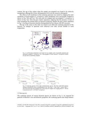 contrast, the age of the culture when the sample was prepared was found to be relatively
unimportant, although the 6-hour old preparation (C6) was the easiest to distinguish.
The effect of cell membrane on the scattering spectrum was tested by stripping the outer
membrane of Gram-negative P. aeruginosa. Outer membranes were successfully stripped as
shown in Fig. 5(b) and 5(c). The score plot for stripped and non-stripped P. aeruginosa is
shown in Fig. 5(a). Note the poor cluster separation, implying that the presence or lack of
outer membrane has limited effect on bacterial scattering. Despite the poor cluster separation
in Fig. 5, the Bayes-Gaussian classifier distinguished the two classes with 90% accuracy.
The age of the smear on the slide was found to not affect the scattering spectrum of the
bacteria; no changes in spectrum were observed even after several months at room
temperature.
Fig. 5. (a) Principal components score plot for two samples each of normally prepared and
membrane stripped P. aeruginosa. (b, c) Micrographs of Gram stained P. aeruginosa without
(b) and with (c) membrane stripped.
Fig. 6. Scattering spectra of the eight tested bacteria species. The three dark-field aperture
setting are denoted by colors corresponding to Fig. 1(b) (ring 1 = blue, ring 2 = green, ring 3 =
red). Error bars show the standard error of the mean for sample sizes ranging from N = 346 for
S. pneumoniae to N = 2172 for P. aeruginosa.
3.2 Interspecies
The scattering spectra of various bacterial species are shown in Fig. 6. As expected for
particles of bacteria’s size and dielectric properties, the scattering spectra lack sharp features.
#192294 - $15.00 USD Received 17 Jun 2013; revised 14 Aug 2013; accepted 15 Aug 2013; published 20 Aug 2013
(C) 2013 OSA 1 September 2013 | Vol. 4, No. 9 | DOI:10.1364/BOE.4.001692 | BIOMEDICAL OPTICS EXPRESS 1698
 