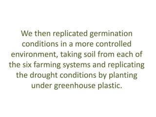 We then replicated germination 
conditions in a more controlled 
environment, taking soil from each of 
the six farming systems and replicating 
the drought conditions by planting 
under greenhouse plastic. 
 