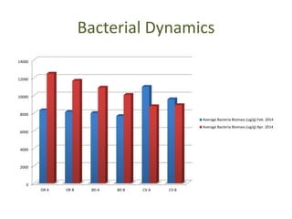 Bacterial Dynamics 
14000 
12000 
10000 
8000 
6000 
4000 
2000 
0 
OR A OR B BD A BD B CV A CV B 
Average Bacteria Biomass (ug/g) Feb. 2014 
Average Bacteria Biomass (ug/g) Apr. 2014 
 