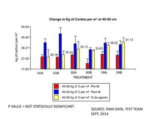 COA COB BDA BDB ORA ORB 
TREATMENT 
40-60 kg of C per m² Pre-till 
40-60 kg of C per m² Post-till 
40-60 kg of C per m² 12 de agosto 
54.60 
45.40 
36.21 
27.02 
17.83 
kg of carbon per m² 
28.16 
30.44 
35.13 
33.63 
38.52 
41.13 
Change in Kg of Carbon per m² at 40-60 cm 
SOURCE: RAW DATA, TFST TEAM 
SEPT, 2014 
P VALUE = NOT STATISCALLY SIGNIFICANT 
 